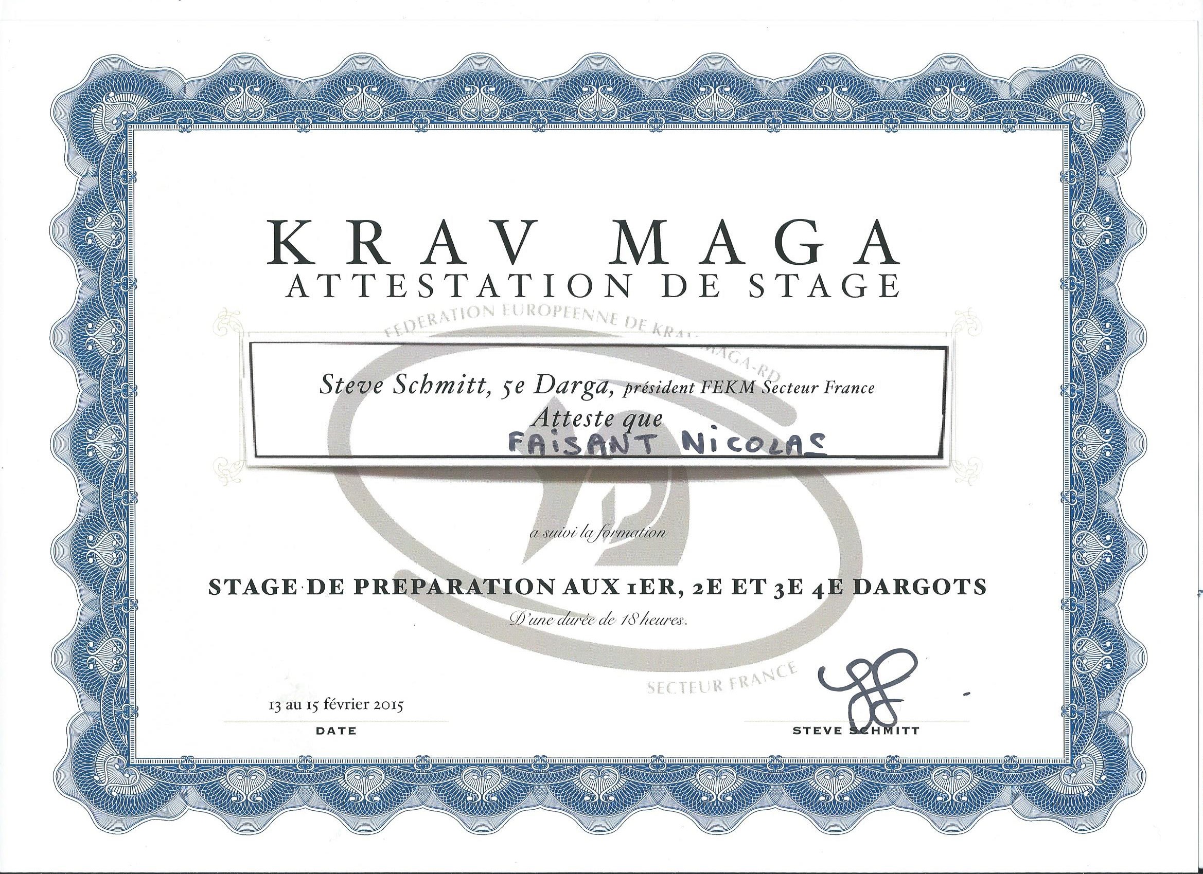 Stage Ceinture Noir 2015